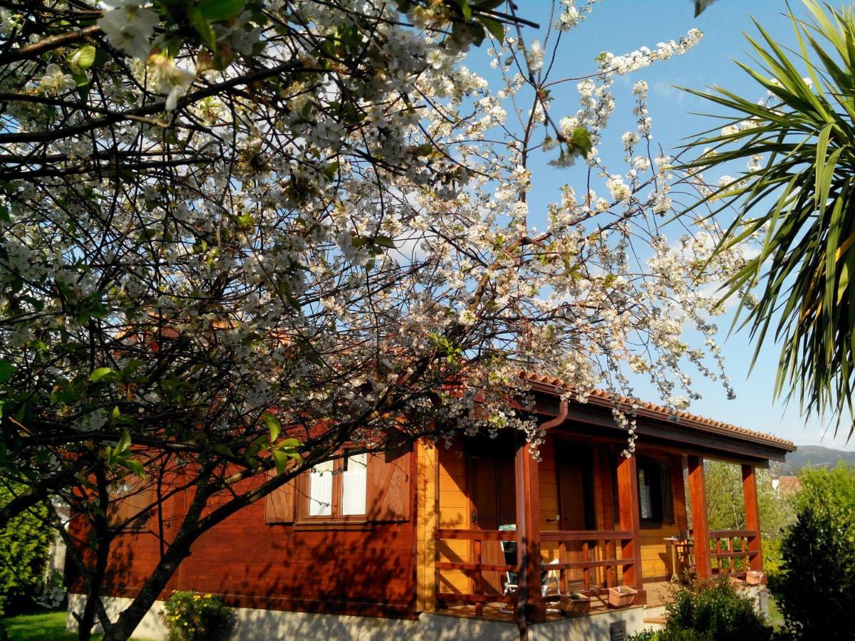 Mi Cabana Villa Ribadumia Exterior photo